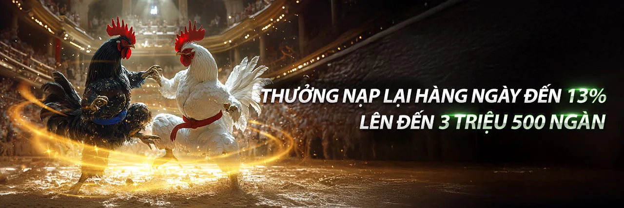 Đá Gà Thomo 23/3 Kịch Tính